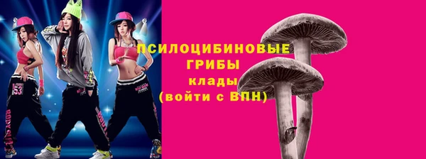 героин Алексин