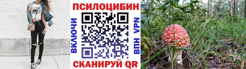 Галлюциногенные грибы Psilocybine cubensis блэк спрут рабочий сайт Цивильск